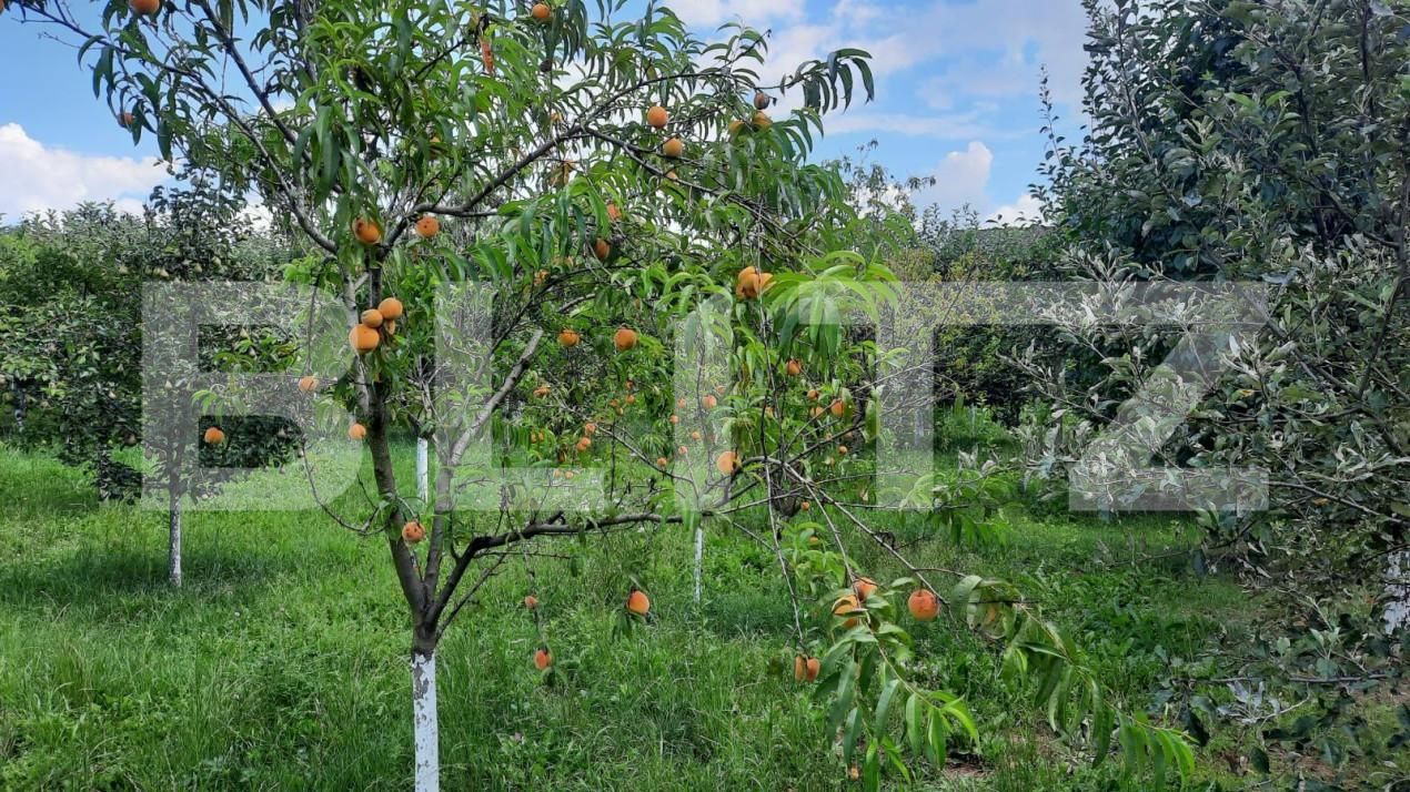 Casa de vânzare 6 camere Est - 150121CV | BLITZ Turda | Poza7