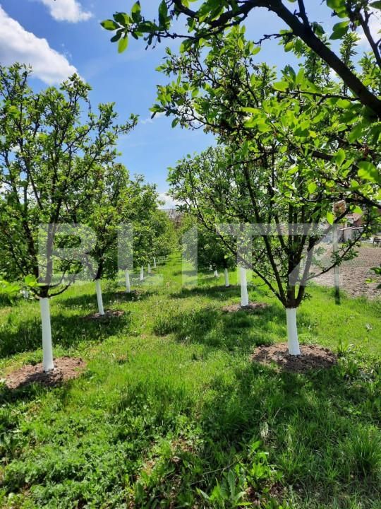 Casa de vânzare 6 camere Est - 150121CV | BLITZ Turda | Poza8