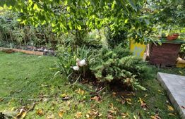 Casă 6 camere, 180 mp utili, 460 mp teren, Turda