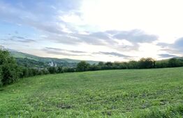 Teren intravilan, 21.450 mp, utilitati, acces autostrada, sat Dumbrava
