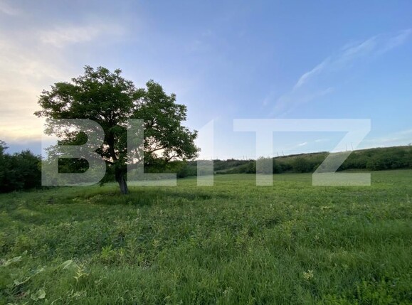 Teren de vânzare Vest - 152472TV | BLITZ Turda | Poza9