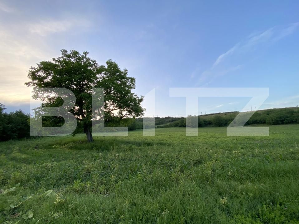 Teren de vânzare Vest - 152472TV | BLITZ Turda | Poza9
