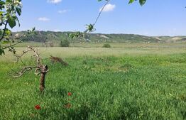 Casa renovabila cu teren generos
