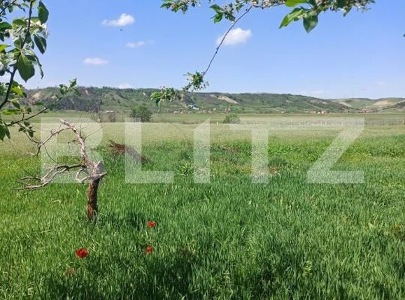 Casa de vânzare 3 camere Nord-Est  - 156904CV | BLITZ Turda | Poza19