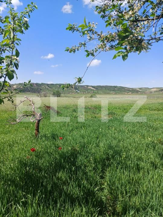 Casa de vânzare 3 camere Nord-Est  - 156904CV | BLITZ Turda | Poza19