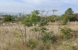 Teren Intravilan cu potential ridicat, 2535mp, Turda, zona centrala