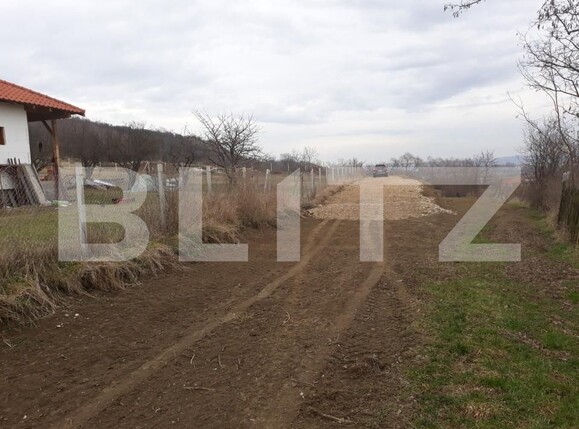 Teren de vânzare Central - 158975TV | BLITZ Turda | Poza2