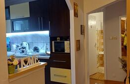 Apartament 2 camere, complet renovat - Parcul Teilor