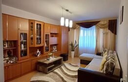 Apartament 2 camere, complet renovat - Parcul Teilor