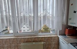 Apartament 2 camere, complet renovat - Parcul Teilor