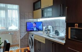 Apartament 2 camere, complet renovat - Parcul Teilor