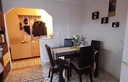 Apartament 2 camere, complet renovat - Parcul Teilor