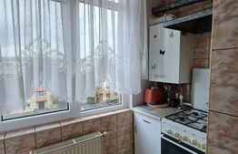 Apartament 2 camere, complet renovat - Parcul Teilor