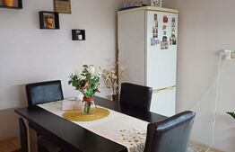 Apartament 2 camere, complet renovat - Parcul Teilor