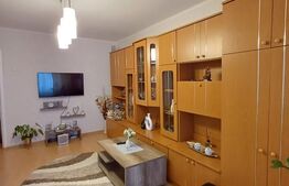 Apartament 2 camere, complet renovat - Parcul Teilor