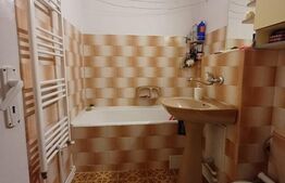 Apartament 2 camere, complet renovat - Parcul Teilor