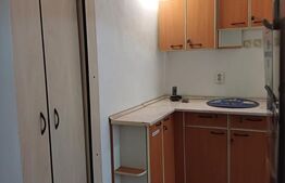Apartament 2 camere, se preteaza ca spatiu comercial