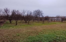 Teren Intravilan ideal pentru investitie, 2497mp, Turda