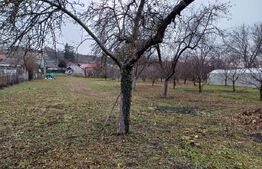 Teren Intravilan ideal pentru investitie, 2497mp, Turda