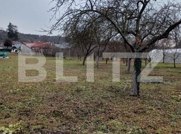 Teren de vânzare Vest - 162635TV | BLITZ Turda | Poza7