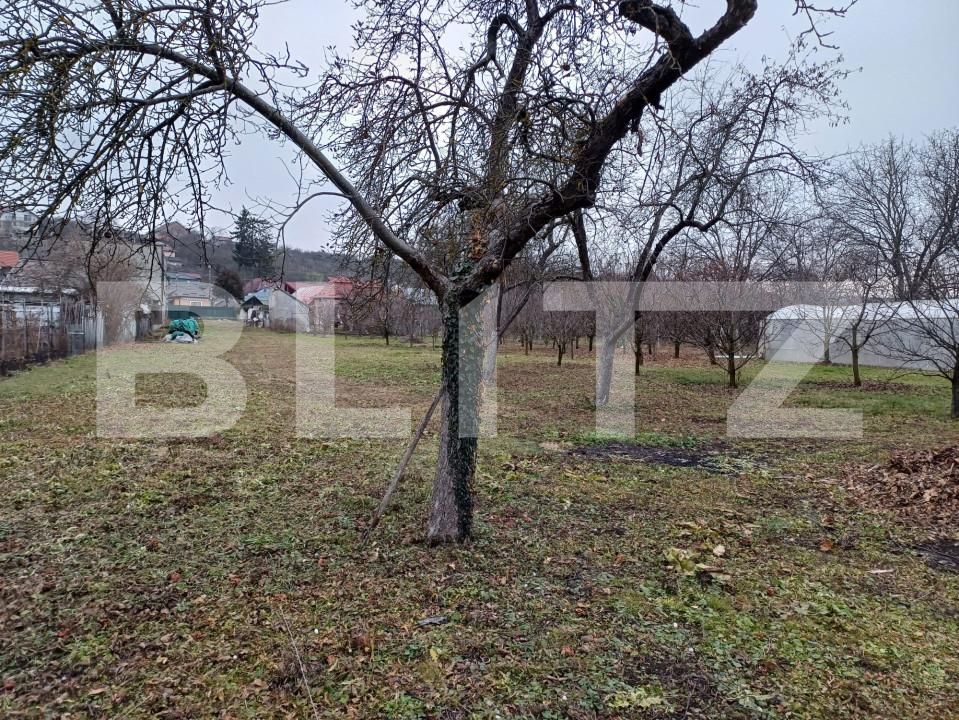 Teren de vânzare Vest - 162635TV | BLITZ Turda | Poza6