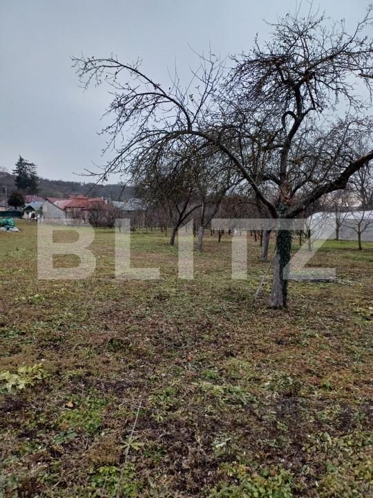 Teren de vânzare Vest - 162635TV | BLITZ Turda | Poza7