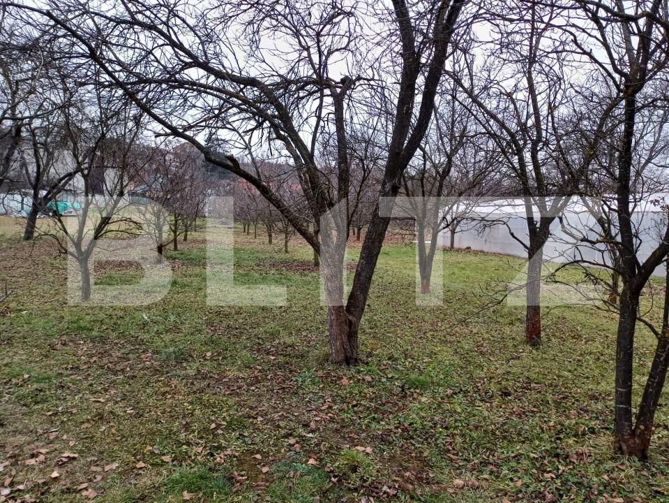 Teren de vânzare Vest - 162635TV | BLITZ Turda | Poza4