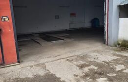 Afacere la cheie, service auto, 460 mp, zona Micro 4