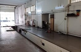 Afacere la cheie, service auto, 460 mp, zona Micro 4