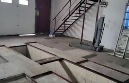 Afacere la cheie, service auto, 460 mp, zona Micro 4