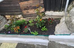 Casa individuala, cu 3 camere in zona Turda Noua