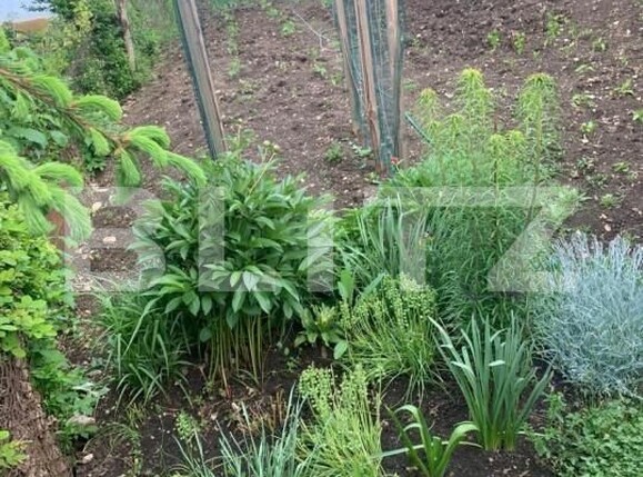 Casa de vânzare 3 camere Nord-Vest - 164352CV | BLITZ Turda | Poza15