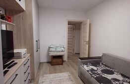 Apartament de vanzare, 3 camere, 63 mp, etaj 1, complet renovat, zona Micro II