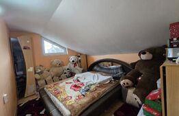 Doua case de vanzare, cu 9 camere, 320 mp, Turda