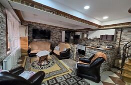 Doua case de vanzare, cu 9 camere, 320 mp, Turda