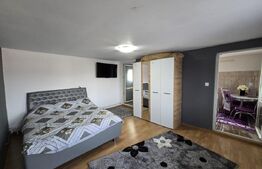 Doua case de vanzare, cu 9 camere, 320 mp, Turda