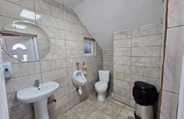 Doua case de vanzare, cu 9 camere, 320 mp, Turda