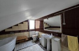 Doua case de vanzare, cu 9 camere, 320 mp, Turda