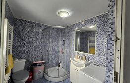 Doua case de vanzare, cu 9 camere, 320 mp, Turda