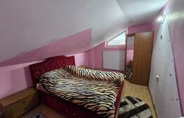 Doua case de vanzare, cu 9 camere, 320 mp, Turda