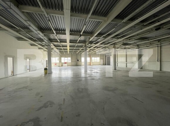 Spațiu industrial de vânzare Central - 165977SVI | BLITZ Turda | Poza2
