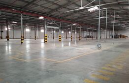 Hală modernă ,5000 mp, zona Turda-Câmpia Turzii , partial din 10.000 de mp. 