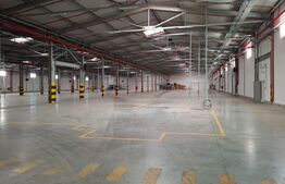 Hală modernă ,5000 mp, zona Turda-Câmpia Turzii , partial din 10.000 de mp. 