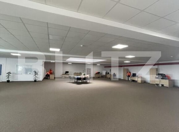 Spațiu industrial de închiriat Nord-Est  - 165980SII | BLITZ Turda | Poza3