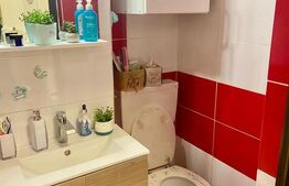 Apartament renovat, cu 2 camere, 30.71 mp, la parter, zona Micro III 