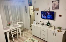 Apartament renovat, cu 2 camere, 30.71 mp, la parter, zona Micro III 