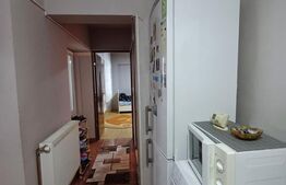 Apartament de vanzare, cu 2 camere, 50 mp, zona Materna