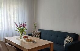 Apartament cu 3 camere, 47 mp, zona Micro 3
