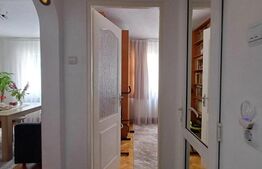 Apartament cu 3 camere, 47 mp, zona Micro 3