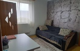 Apartament de vanzare, cu 2 camere, 26.42 mp, zona malul Ariesului